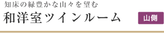 和洋室ツインルーム（マウントビュー）｜知床ノーブルホテル